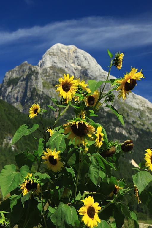 Hotel Alp Bovec Bagian luar foto